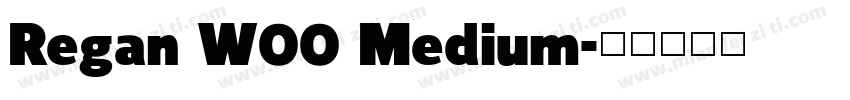 Regan W00 Medium字体转换